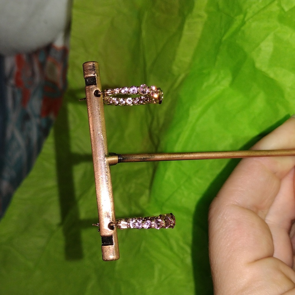 Earrings/hoops
